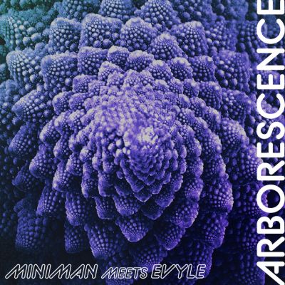 Arborescence — Miniman & Evyle