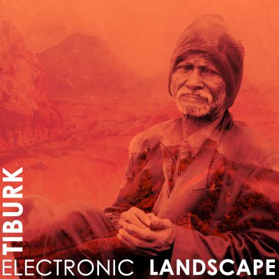 Electronic Landscape — Tiburk